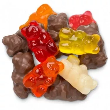 6 Flavor Chocolate Covered Flavored Gummi Bears 2.5lbs
