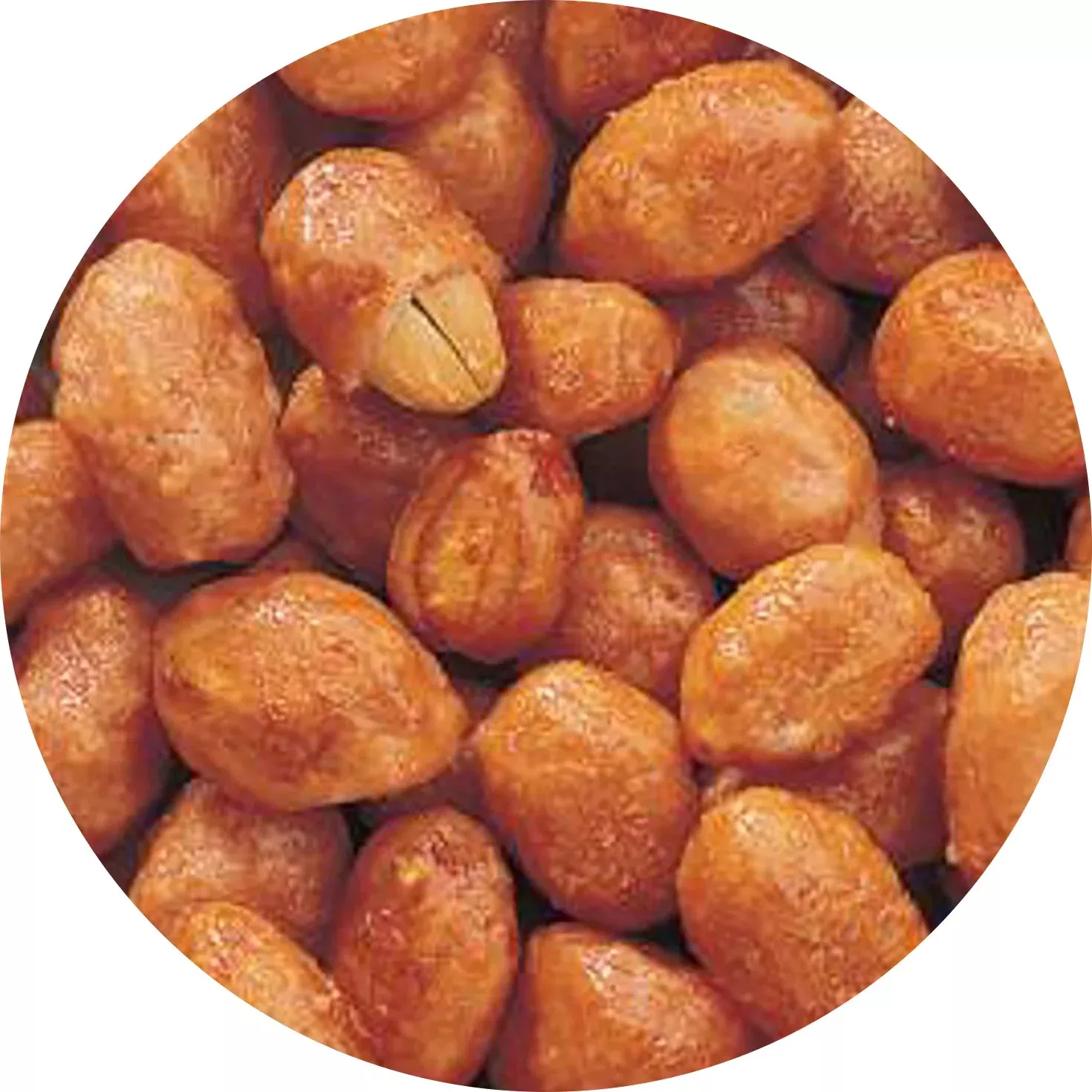 Adams & Brooks Butter Toffee Peanuts | 20lb, Case
