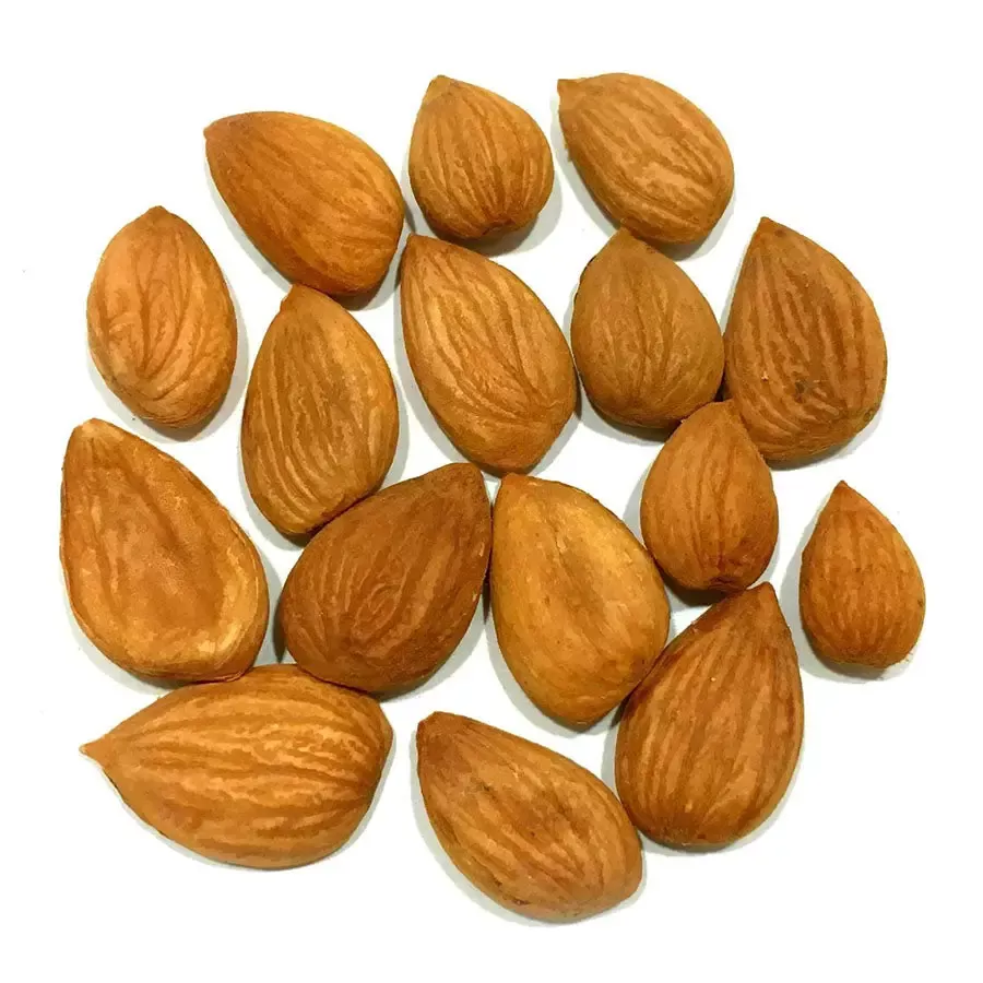 Apricot Kernels