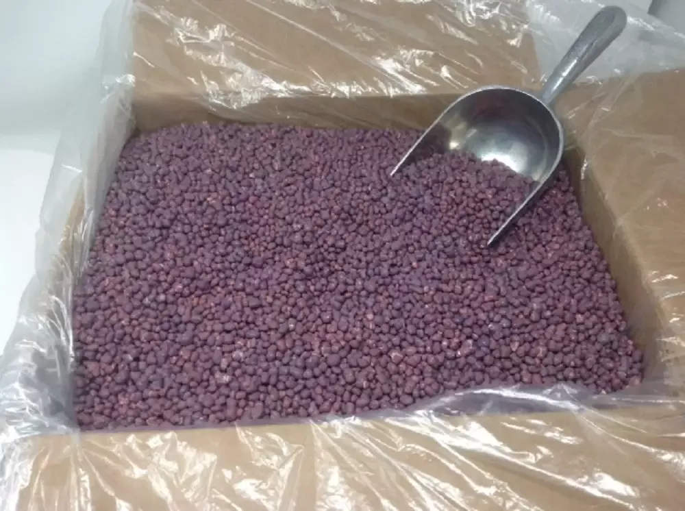 Beulah’s Candyland Unwrapped Bulk Candy Wonka Nerds Bulk Grape Nerds Candy 5 Pounds