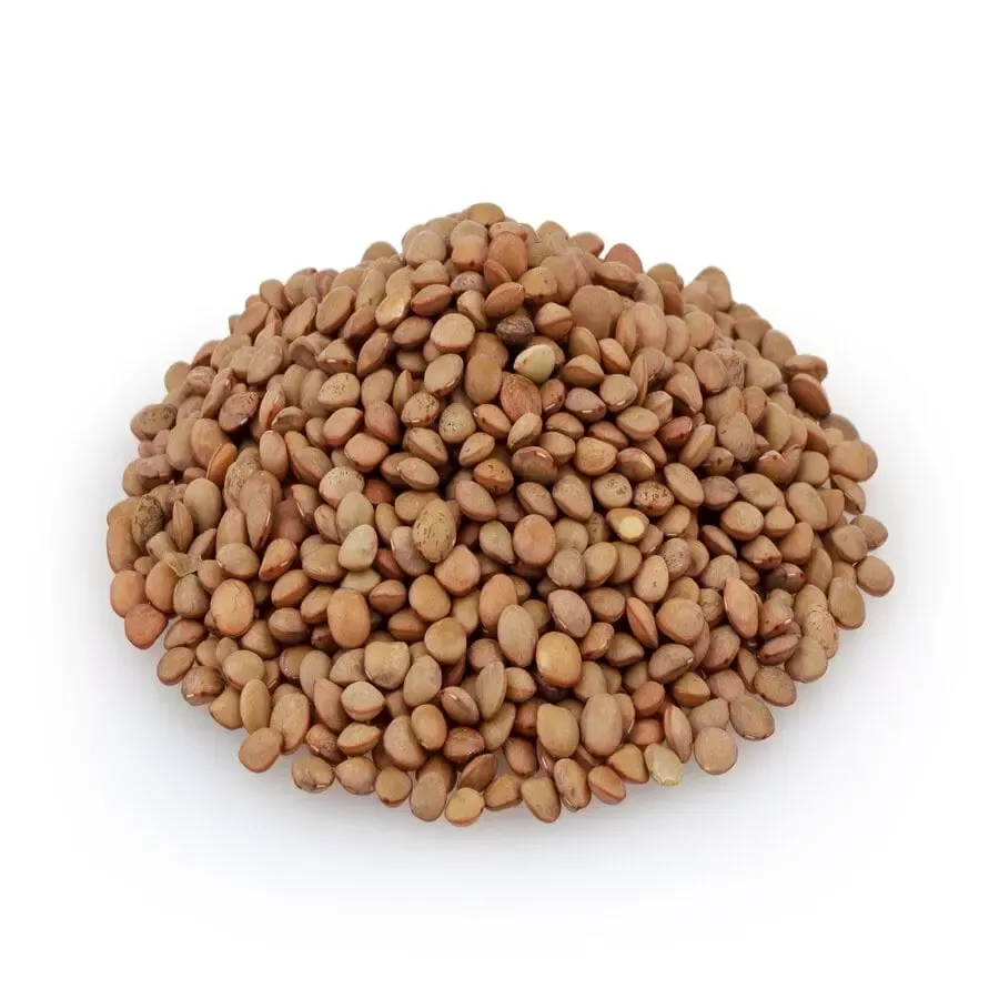 Brown Lentil (Whole Red)