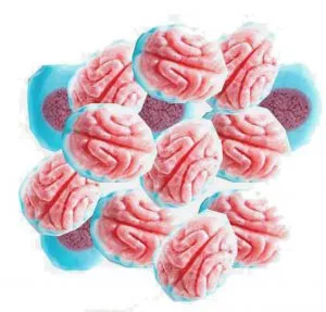 Bulk Candy - Vidal Jelly Filled Gummi Brains