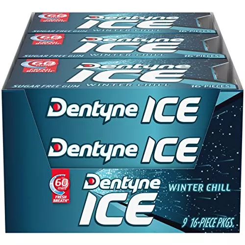 Dentyne Gum Winter Chill 16 Count (Pack of 9)