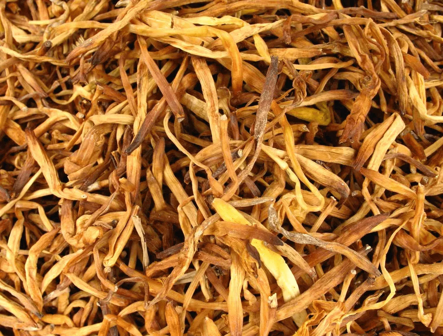 Dried Lily Flowers