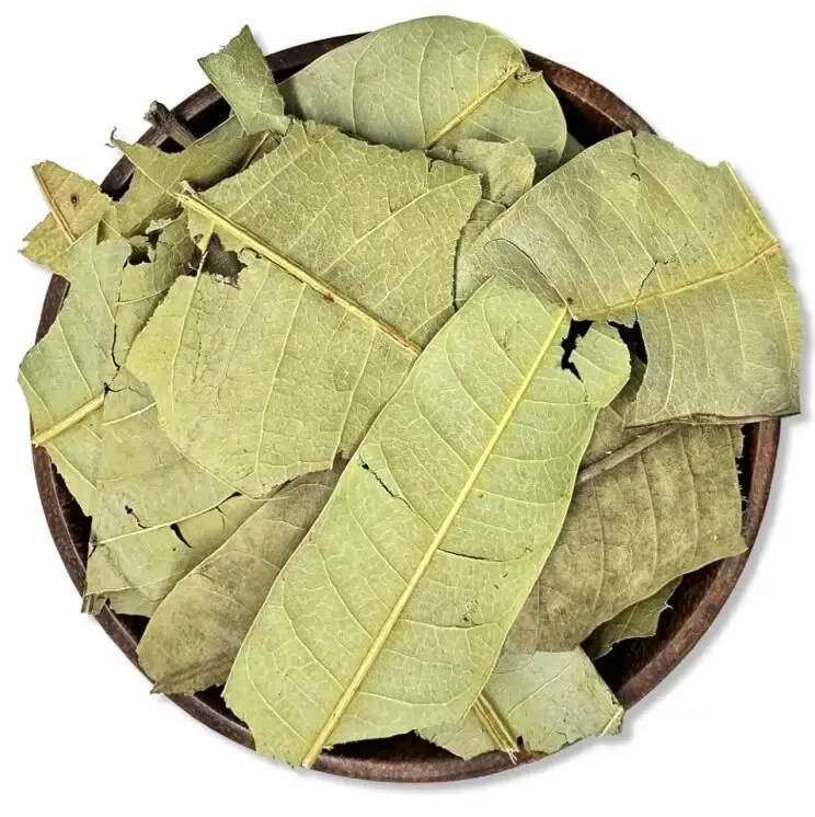 Dried Mango Leaves