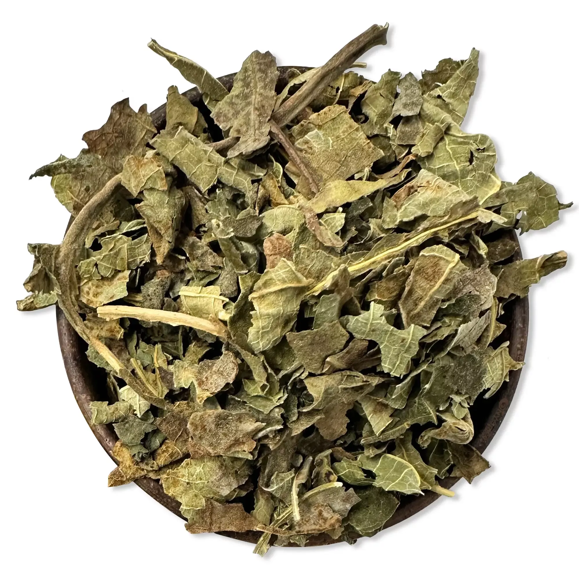 Fig leaves - Higo