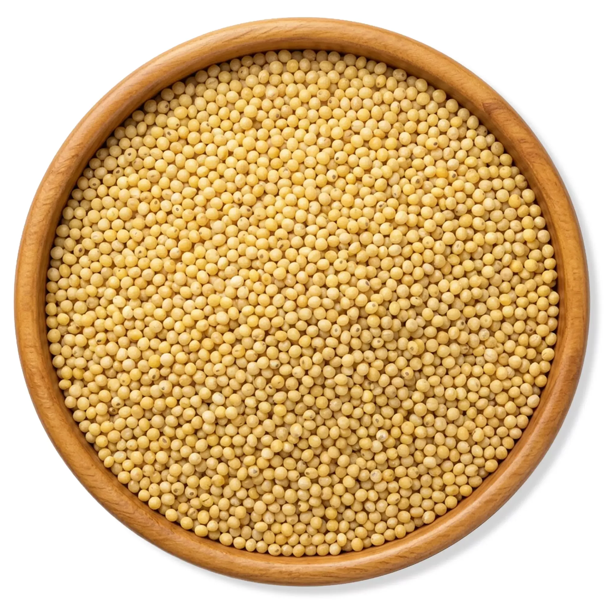 Foxtail Millet
