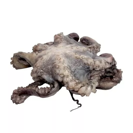 Frozen Seafood Commodity Octopus Whole 2-4 Individually Poly Wrapped 30 Pound Each - 1 Per Case