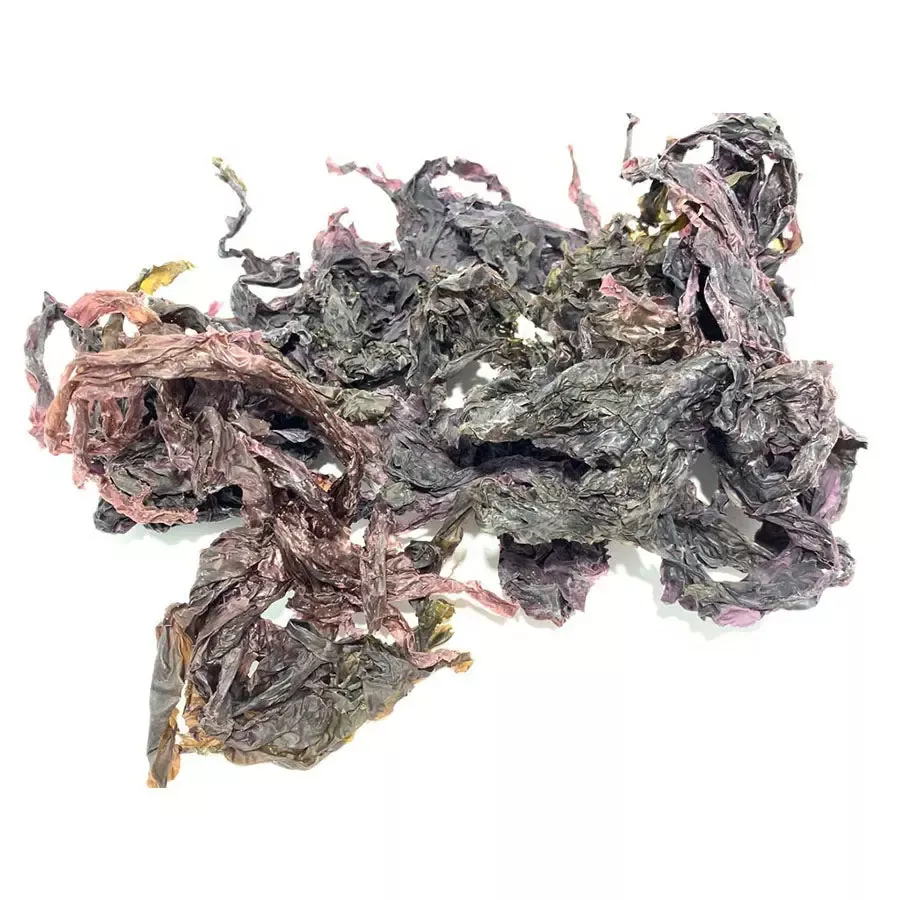 Laver Leaf