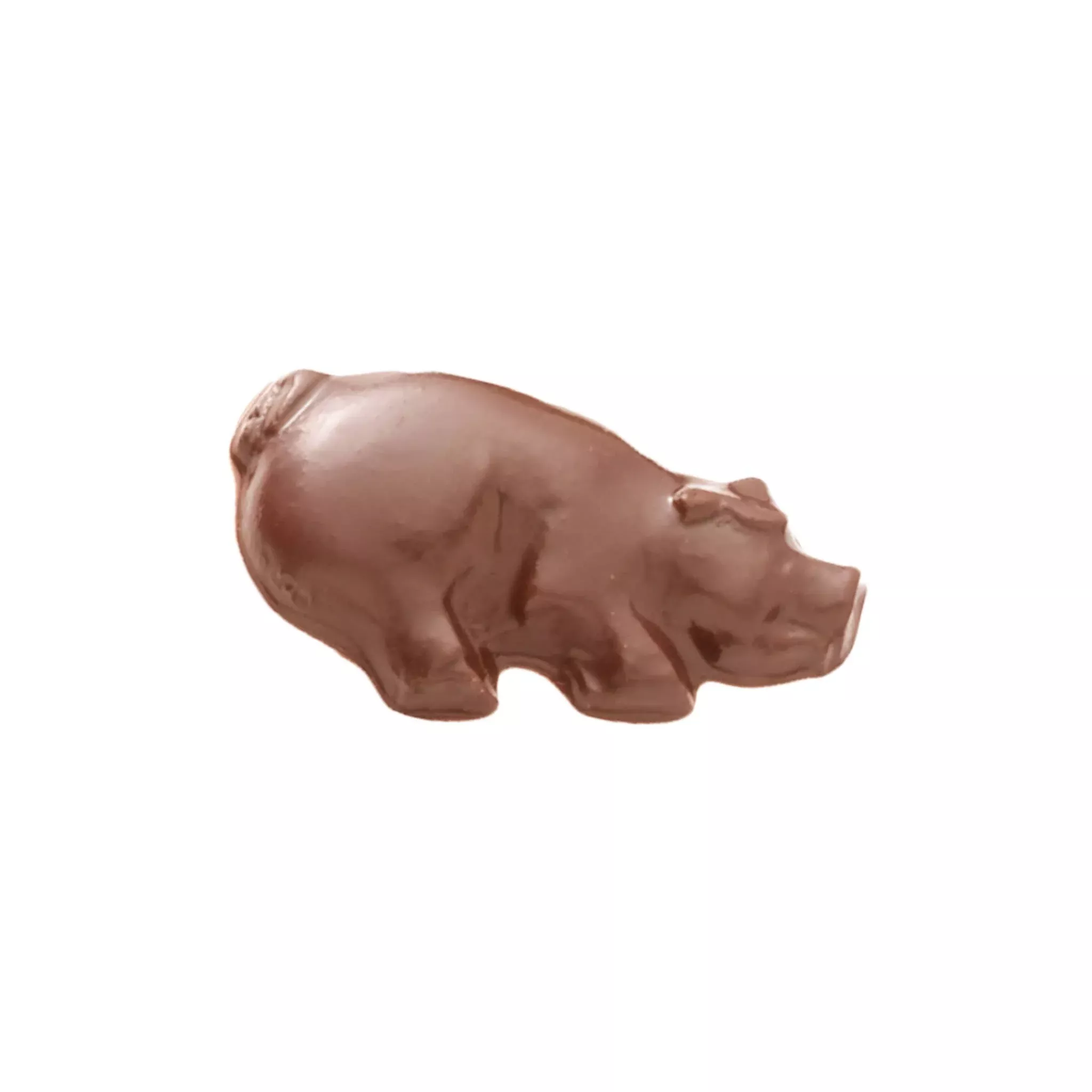 A Litter of Chocolate Pigs