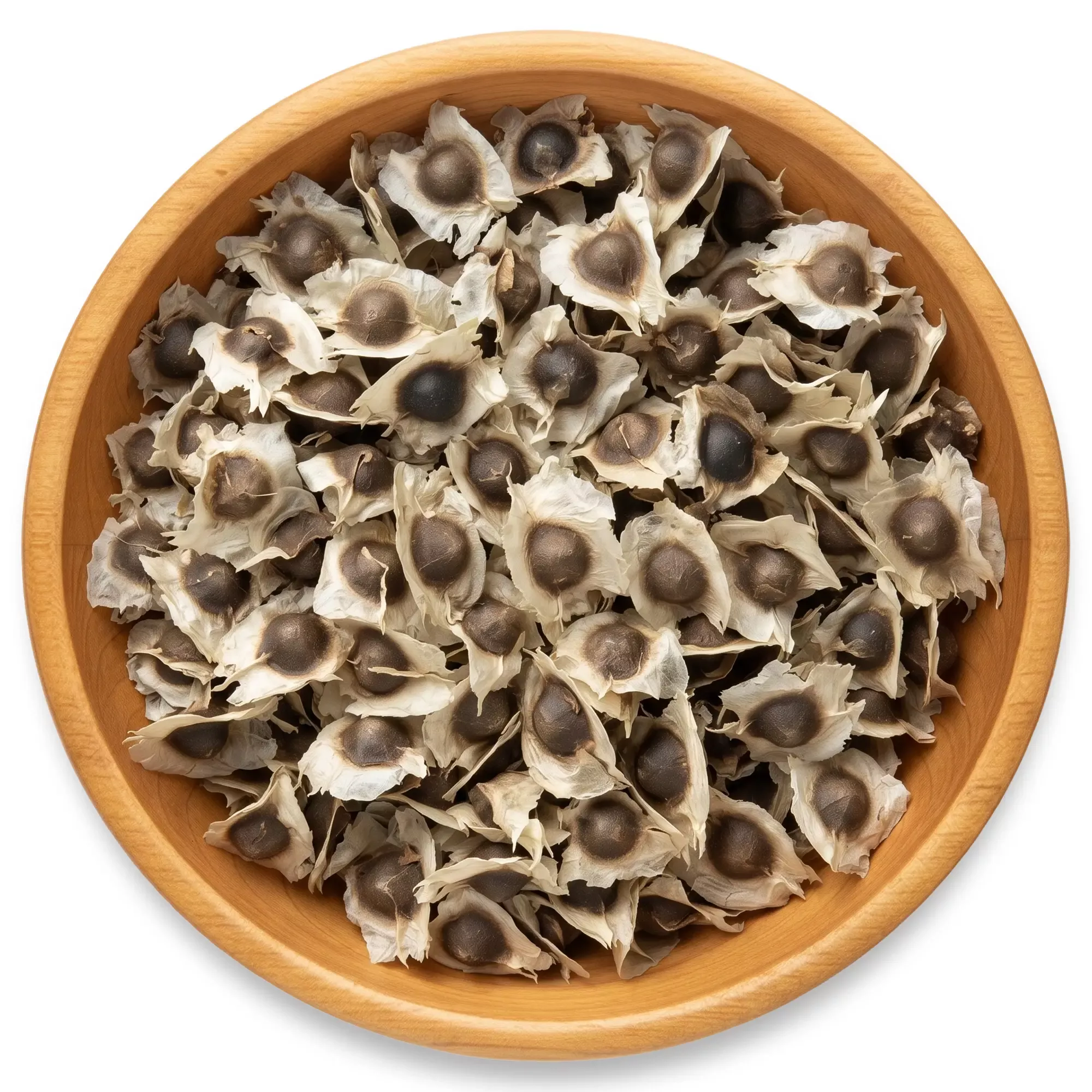 Moringa Seeds