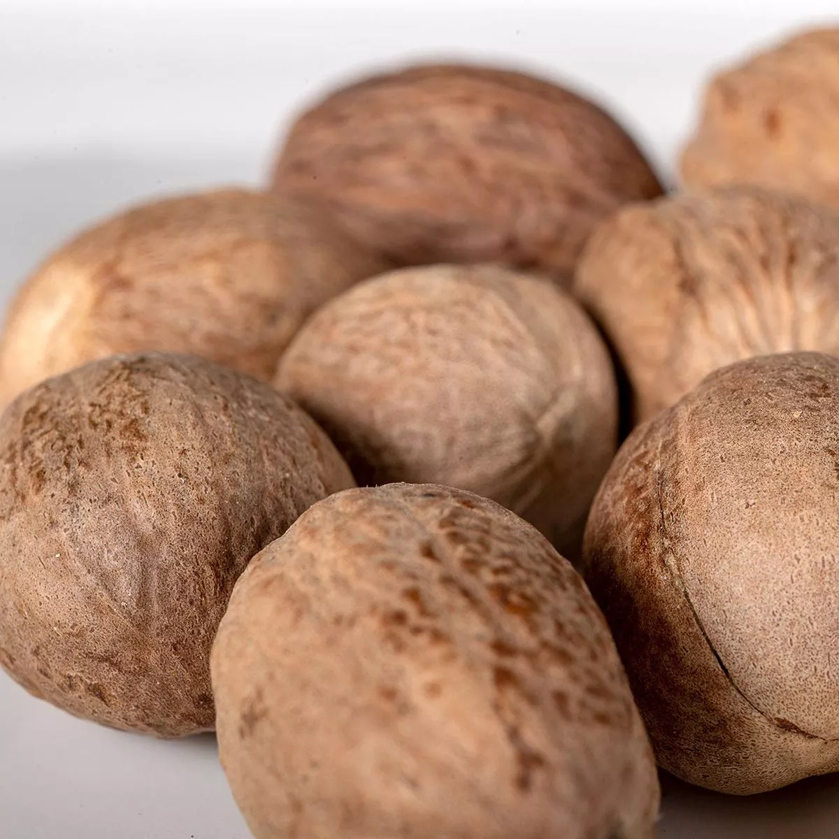 Nutmeg Whole
