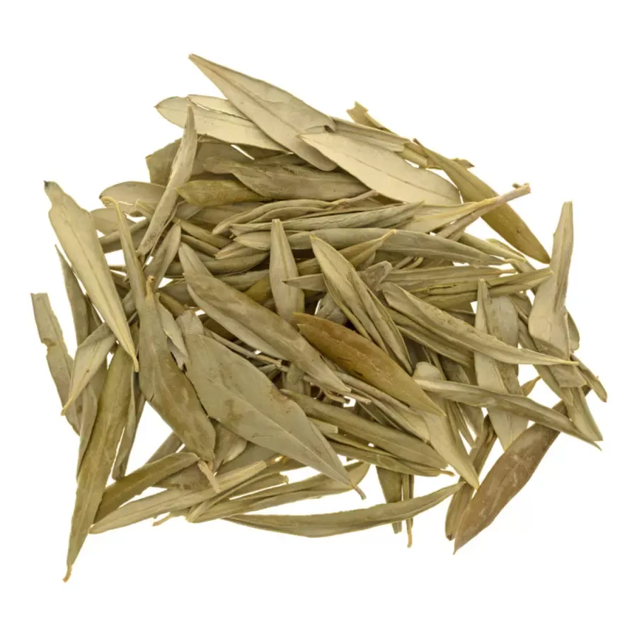 Olive Leaf Whole - (Olea Europaea)