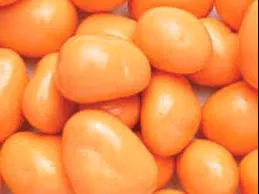 Pastel Chocolate Apricots 10LB Bulk