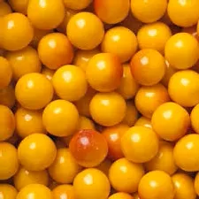 Peach and Cream Gumballs 1" 850 Count Bulk