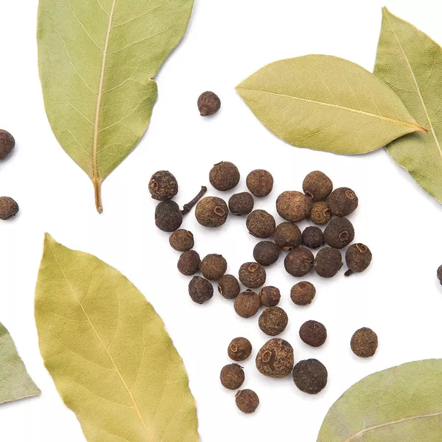 Pimento Leaf (Pimenta) - Pimento diocia