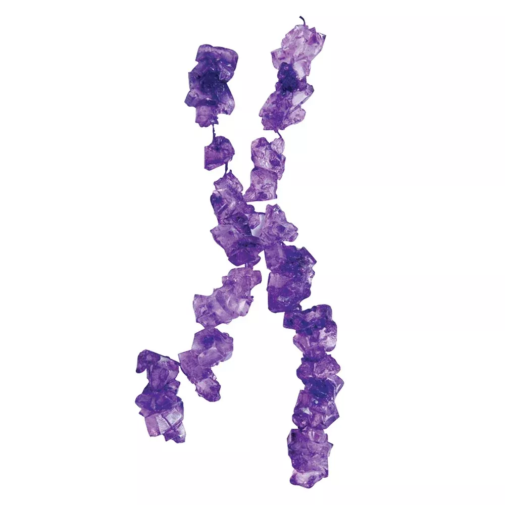 Purple Grape Crystal Rock Candy
