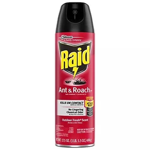 Raid Ant & Roach 12 oz Single Can