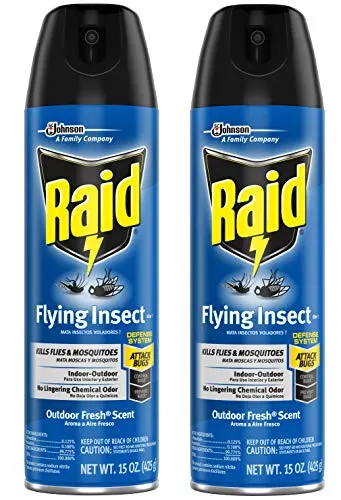 Raid Flying Insect Spr 15 oz Single Can