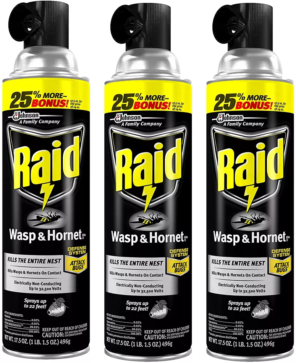 Raid Wasp Hornet Spray 17.5z Single Can