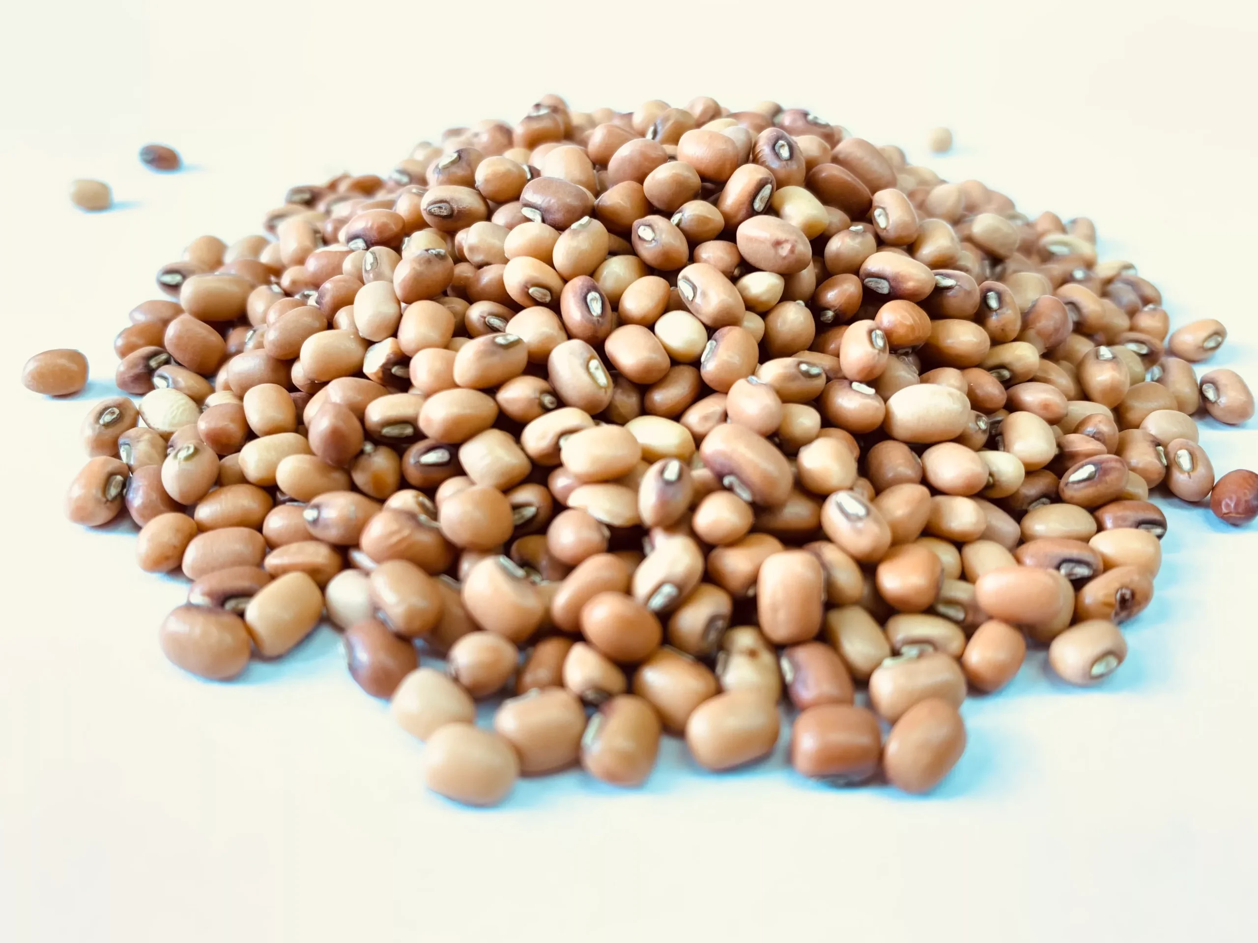 Red Chori - Red Mung Beans