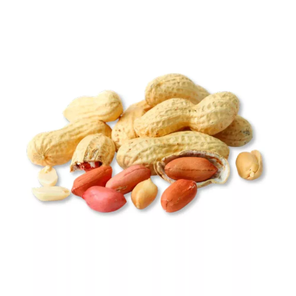 Roasted Unsalted Peanuts in Shell – Bulk Value Bag – 5 lb