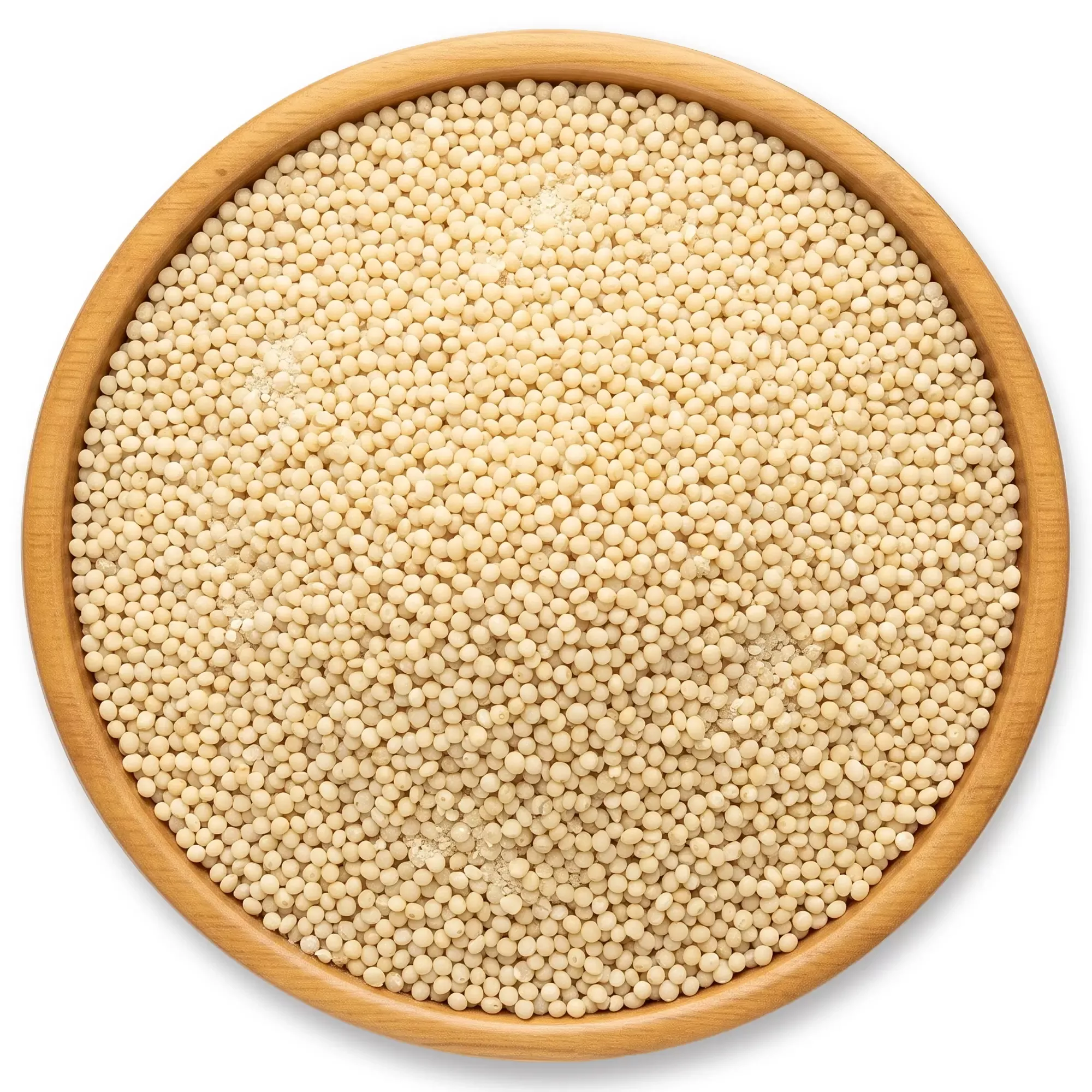 Samo Seeds (Moriya Seeds)