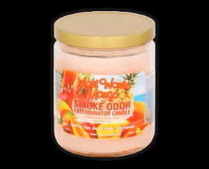 Smoke Odor Exterminator Jar Candle Maui Wowie Mango 12ct