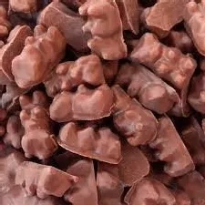 Sugar Free Chocolate Covered Gummi Bears 5LB