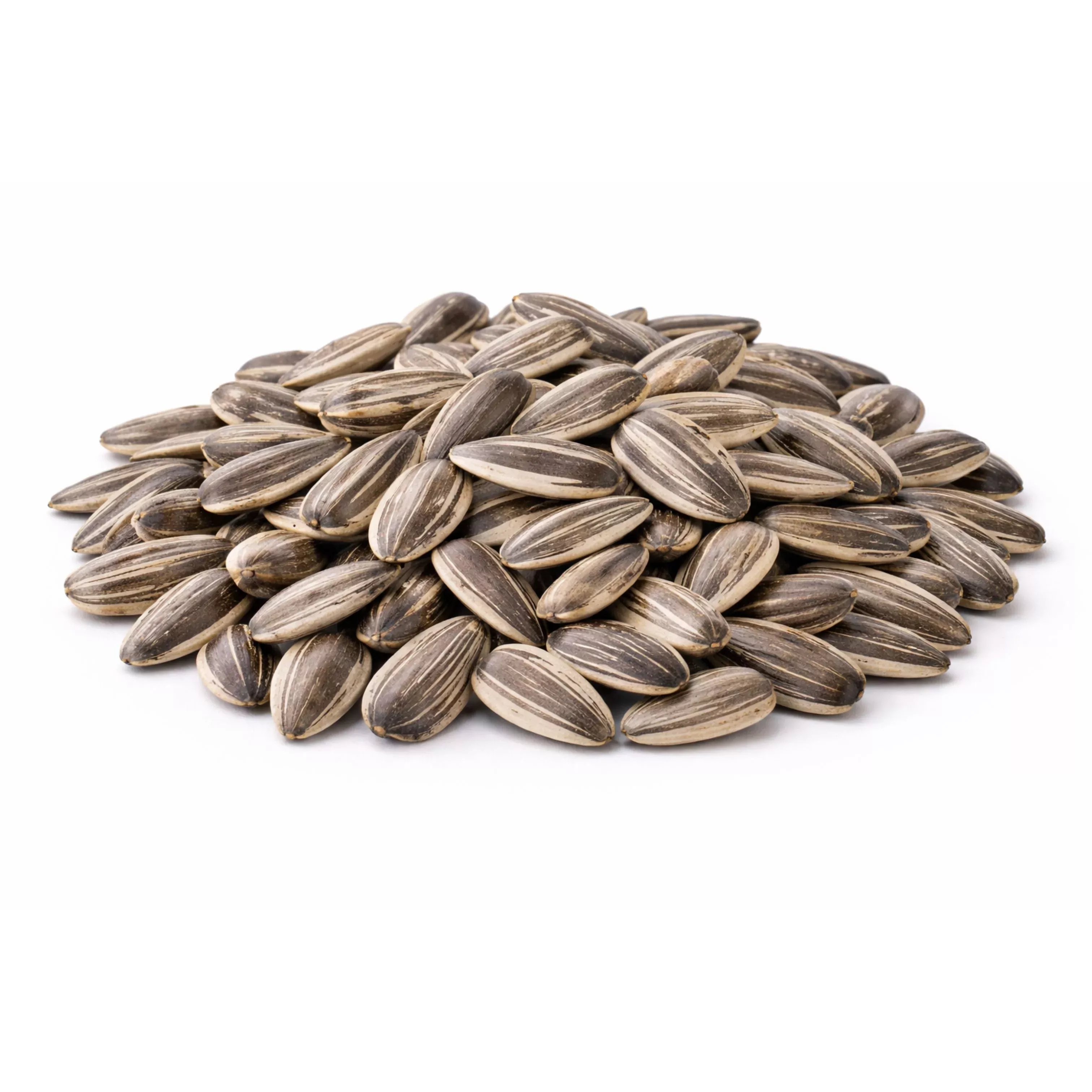 Sunflower Seeds Raw – In Shell – Bulk Value Bag – 1 lb
