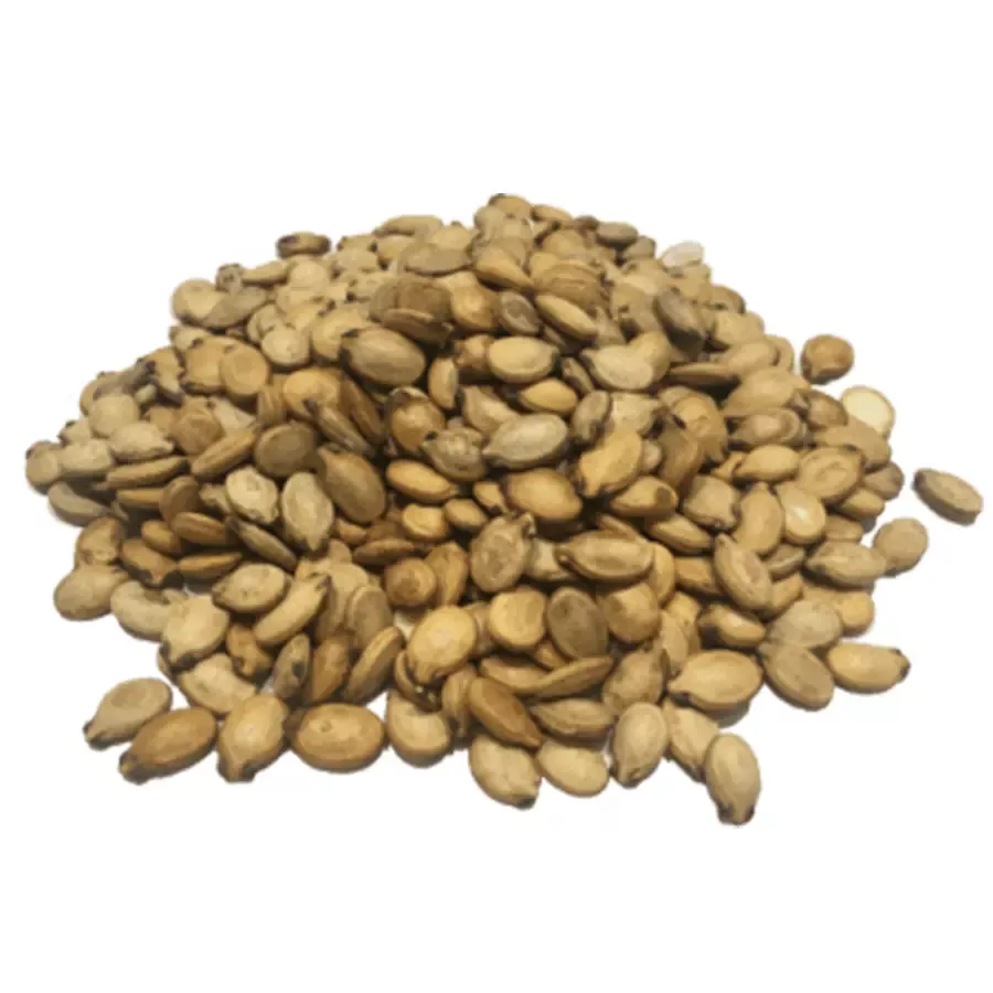 Watermelon Seeds Roasted & Salted