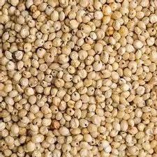 White Sorghum Millet (Jowar)
