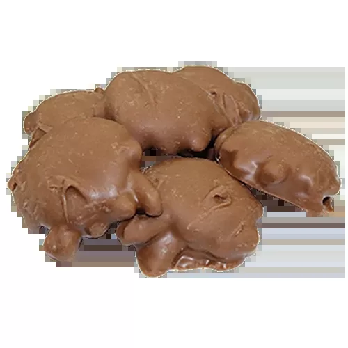 Zachary Chocolate Caramel Pecan Clusters 3 lb. Bulk Bag